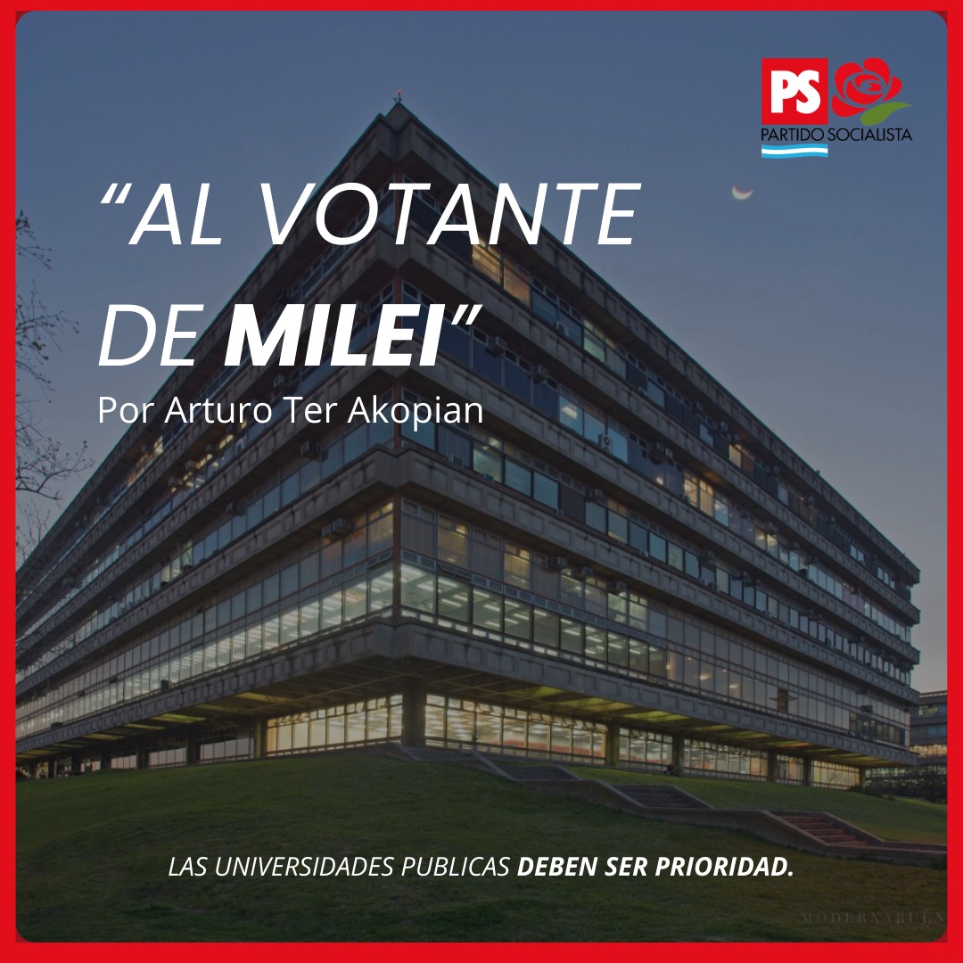 AL VOTANTE DE MILEI